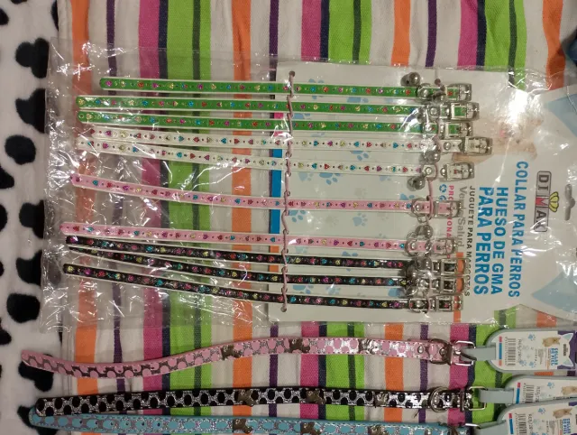 Lote completó  Correas y collares para perro.