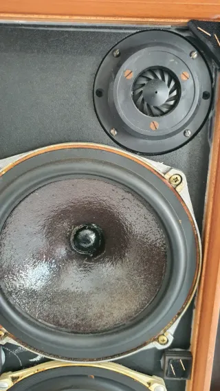 Altavoces Celestion Ditton 15