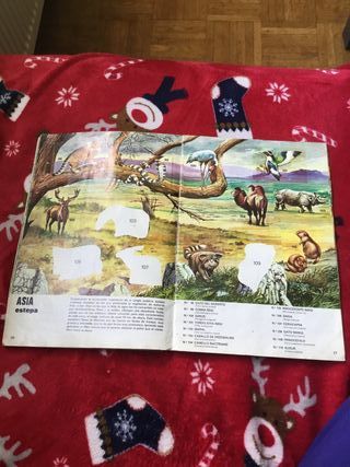 Álbum Cromos Zoo Color - Los Animales del Mundo