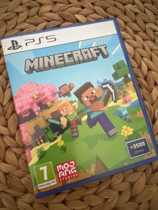Minecraft PS5