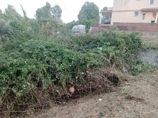 Desbroze de parcelas