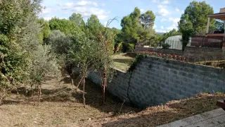 Desbroze de parcelas