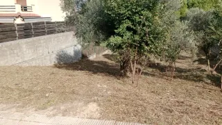 Desbroze de parcelas