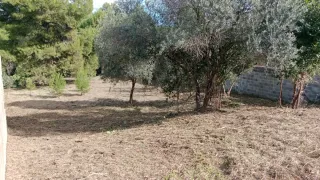 Desbroze de parcelas