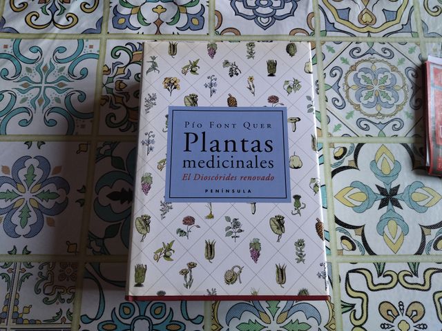 Plantas medicinales