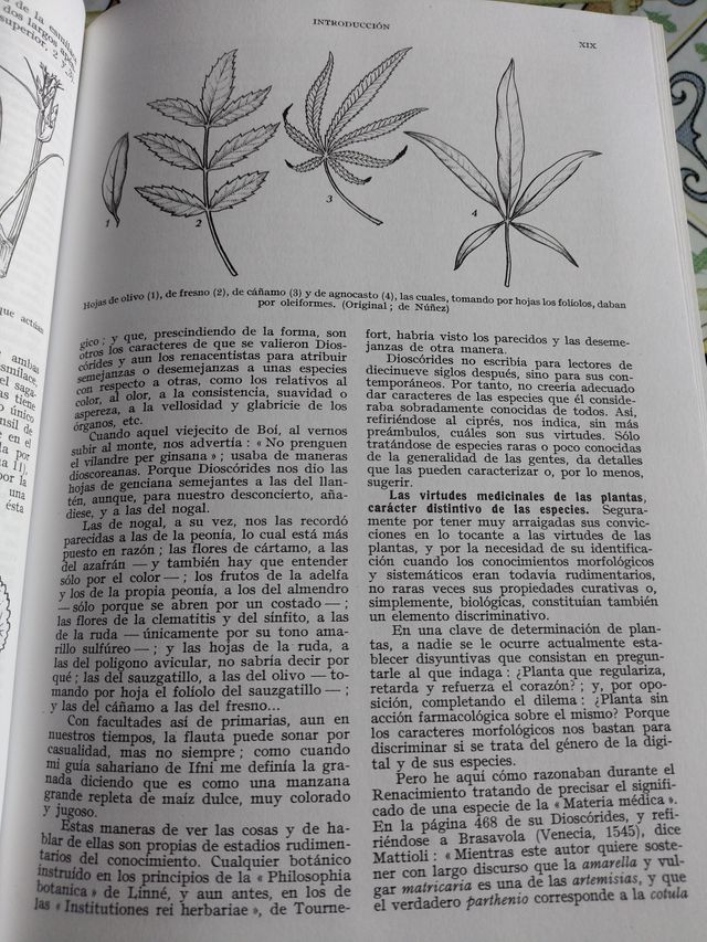 Plantas medicinales