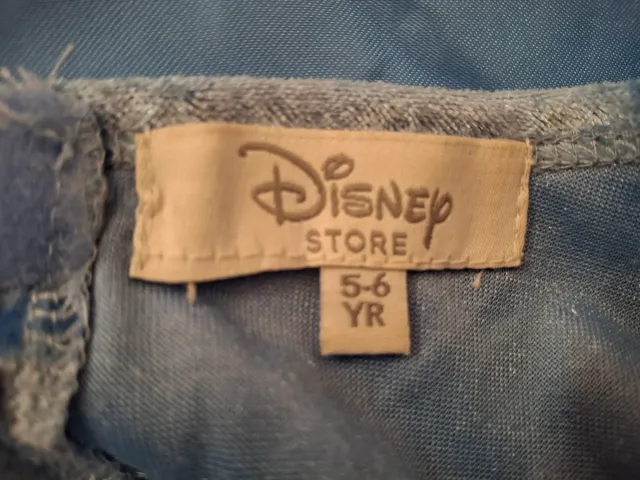 Vestido Princesa Azul