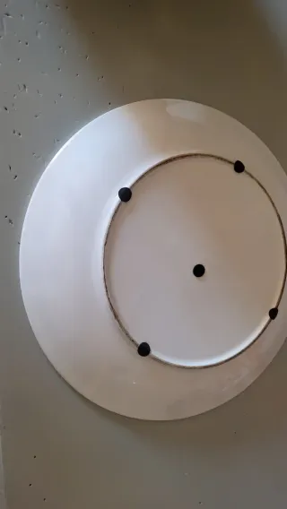Tazza gigante decorata con insetti e lumache
