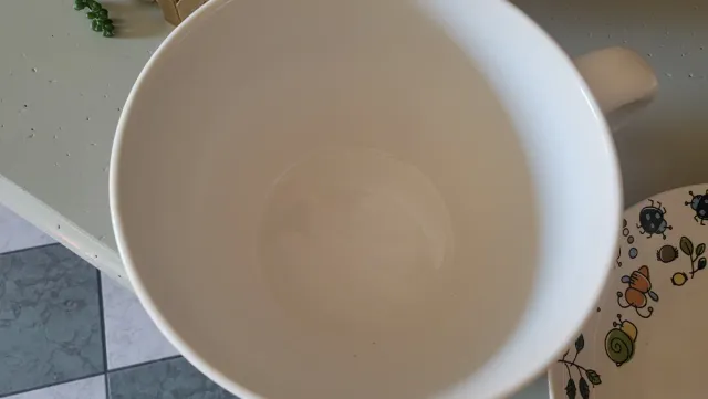 Tazza gigante decorata con insetti e lumache