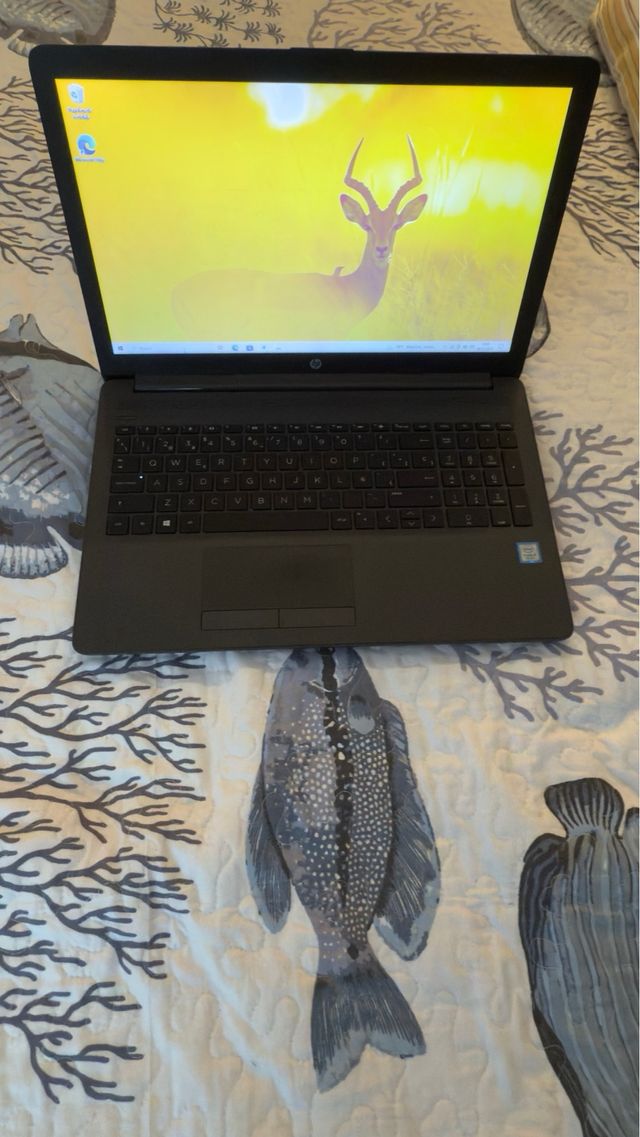 Ordenador Portátil HP Negro/Gris