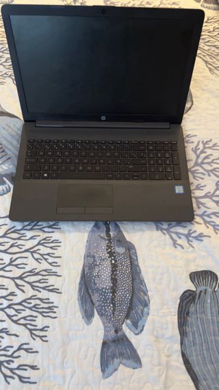Ordenador Portátil HP Negro/Gris