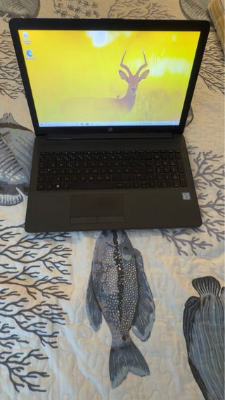 Ordenador Portátil HP Negro/Gris