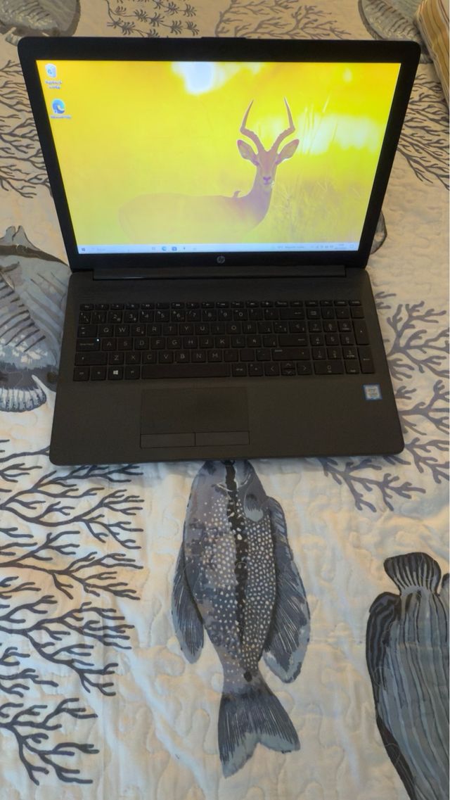 Ordenador Portátil HP Negro/Gris