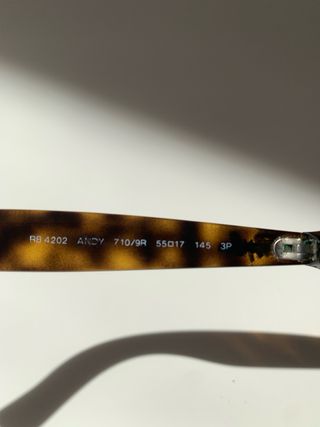 Gafas de sol Ray-Ban Polarizadas Tortoise