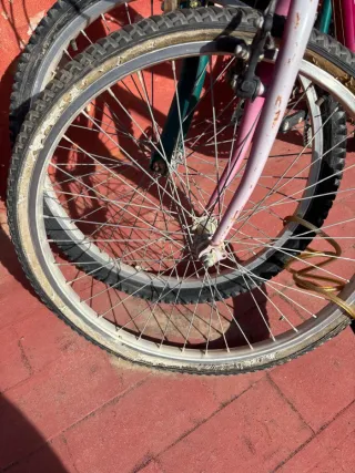 Dos bicicletas de montaña