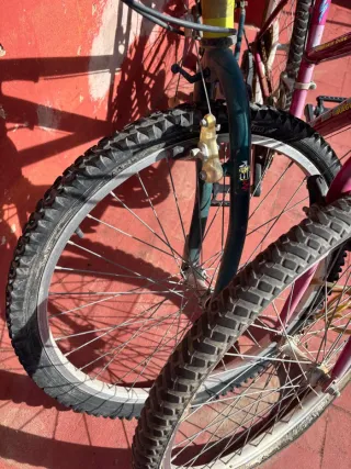 Dos bicicletas de montaña