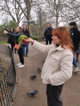 Chaqueta teddy borreguito