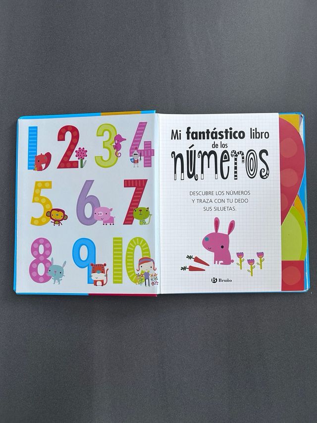 Mi fantástico libro de los números