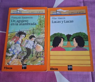 Un agujero en la alambrada