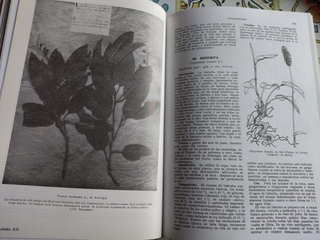 PLANTAS MEDICINALES 1 VOL. DISCORIDES RE
