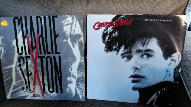 Pack 2 Vinilos Charlie Sexton perfecto estado