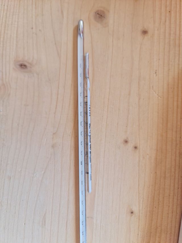 Termómetros antiguos con funda