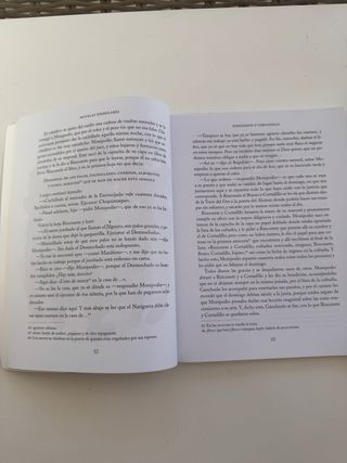 Rinconete Y Cortadillo Y Otras Novelas Ejemplar...