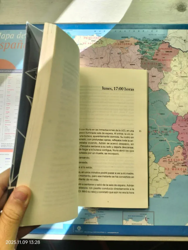 El rostro de la sombra (Spanish Edition)