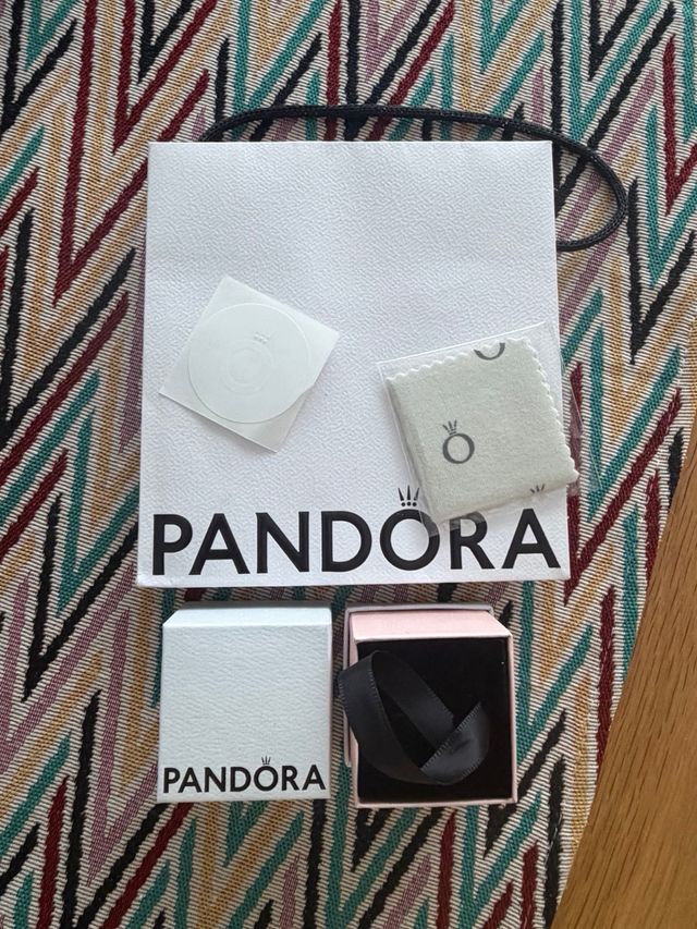 Bolsa, caja y paño de limpieza Pandora