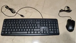 Set Teclado y Ratón USB Netway Negro