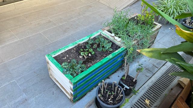 Macetas de Madera (2 unidades) + Tierra