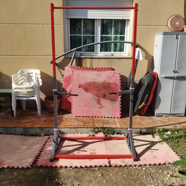 Barra dominadas y fondos