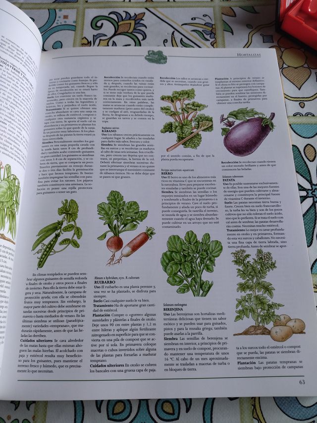 Gu¡a práctica de la vida autosuficiente: Un clá...