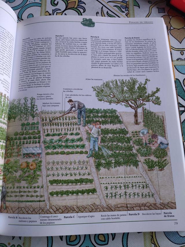 Gu¡a práctica de la vida autosuficiente: Un clá...