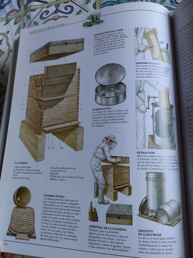 Gu¡a práctica de la vida autosuficiente: Un clá...