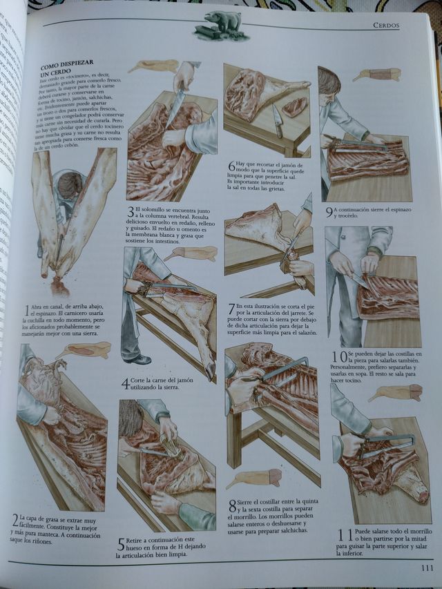 Gu¡a práctica de la vida autosuficiente: Un clá...