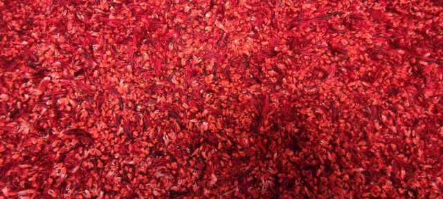 Alfombra roja de poliéster