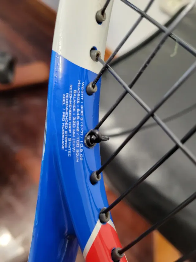 Babolat Pure Drive 300 L2