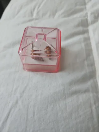 Pendientes Plata Caracolas Resina Marrones Dorados