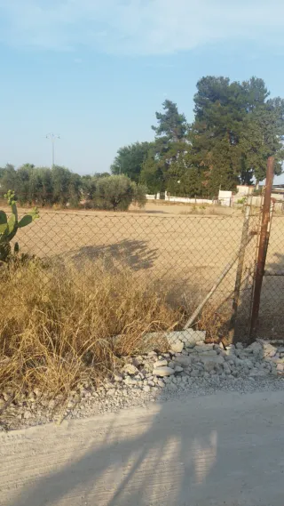 Terreno en huerta en venta