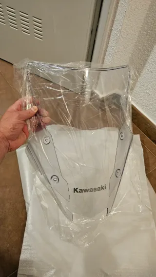 Cúpula Kawasaki Ninja 1000SX