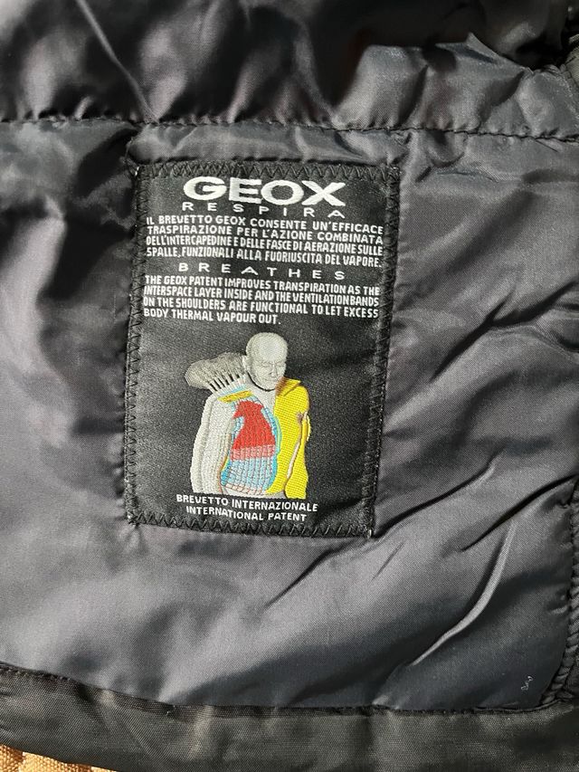Cazadora Geox Hombre Negra