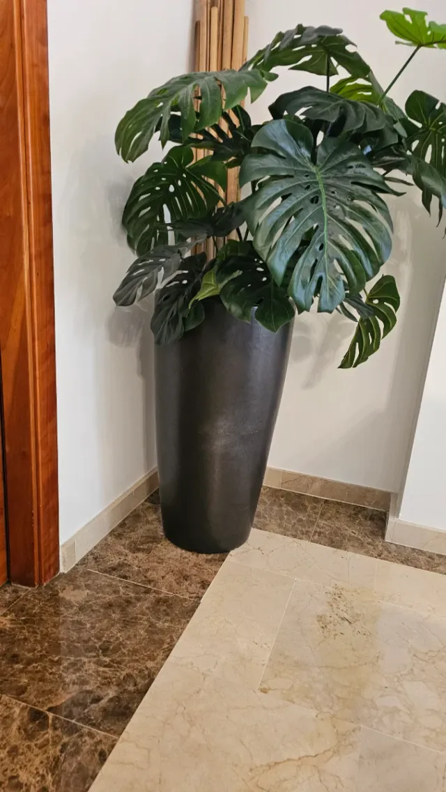 Macetero de piedra y terracota