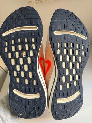 Zapatilla Nike Journey Running