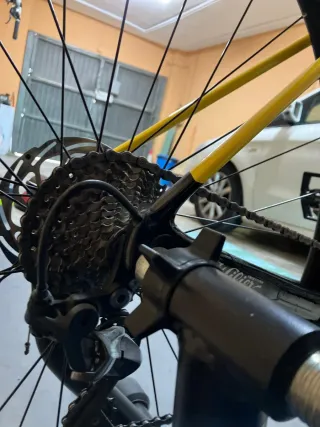 Wilier Garda Disc Ultegra 2022