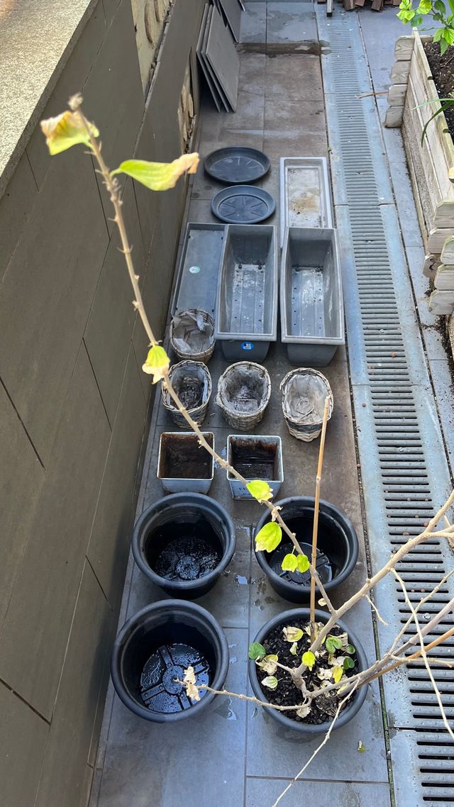 Macetas Plástico y Mimbre Varias