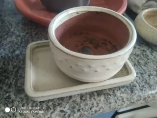 Macetas de cerámica para bonsái