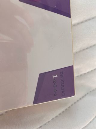 Maqueta Madera Dinosaurio Estiracosaurio Sin Abrir