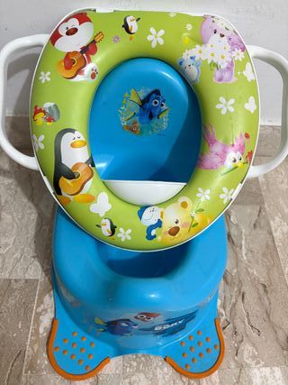 Vasino Dory + Adattatore WC