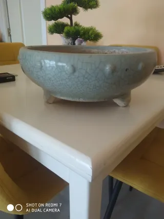 Maceta bonsai cerámica con patas